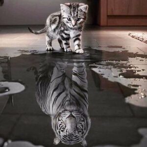 Kit Broderie Diamant "Chat ou Tigre ?"