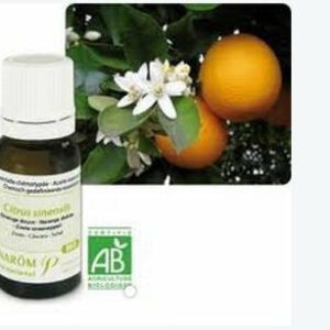 Huiles essentielles BIO "Énergie Zen" 10 ml - 3 choix disponibles