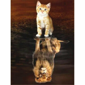 Kit de Broderie Diamant - "Un Chat peut cacher un Lion"
