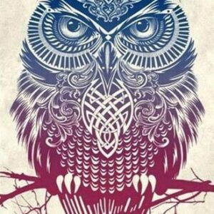 Kit de Broderie Diamant "Hibou de Bohême"