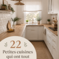 Agencement moderne d'une petite cuisine pratique et cosy